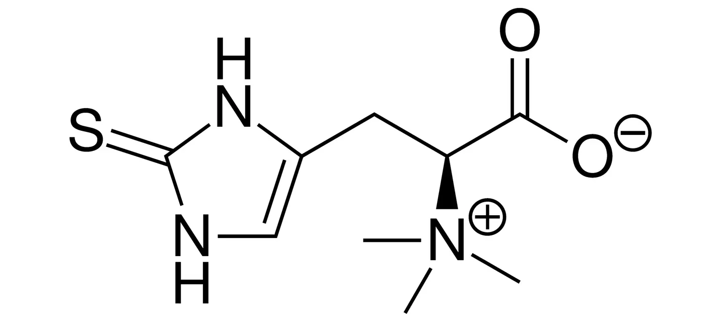Ergothioneine molecule