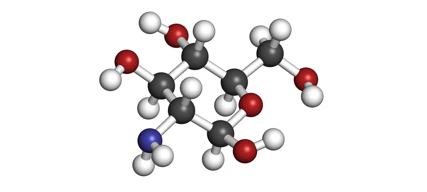 Glucosamine Sulfate molecule