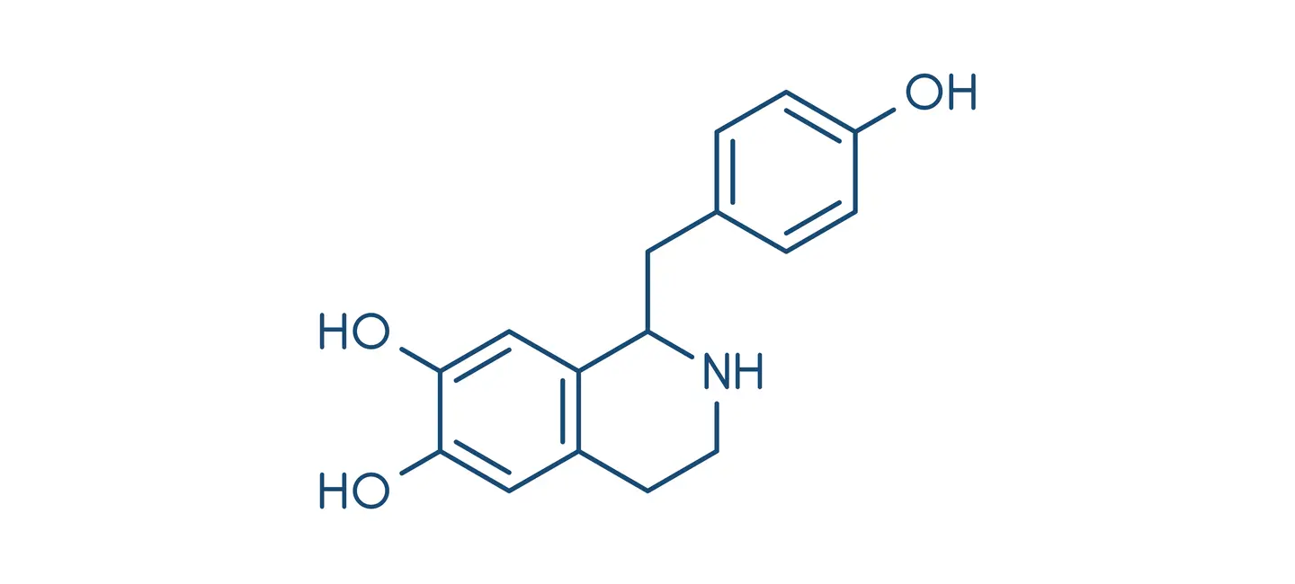 Higenamine molecule
