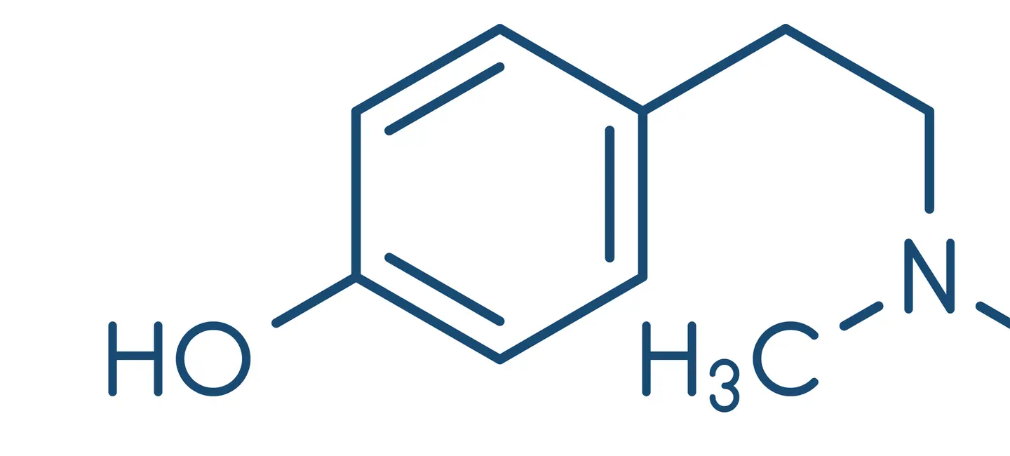 Hordenine molecule