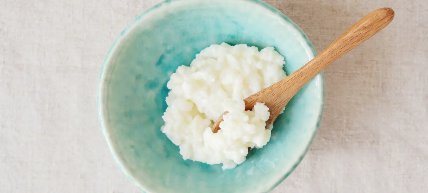 bowl of kefir grains