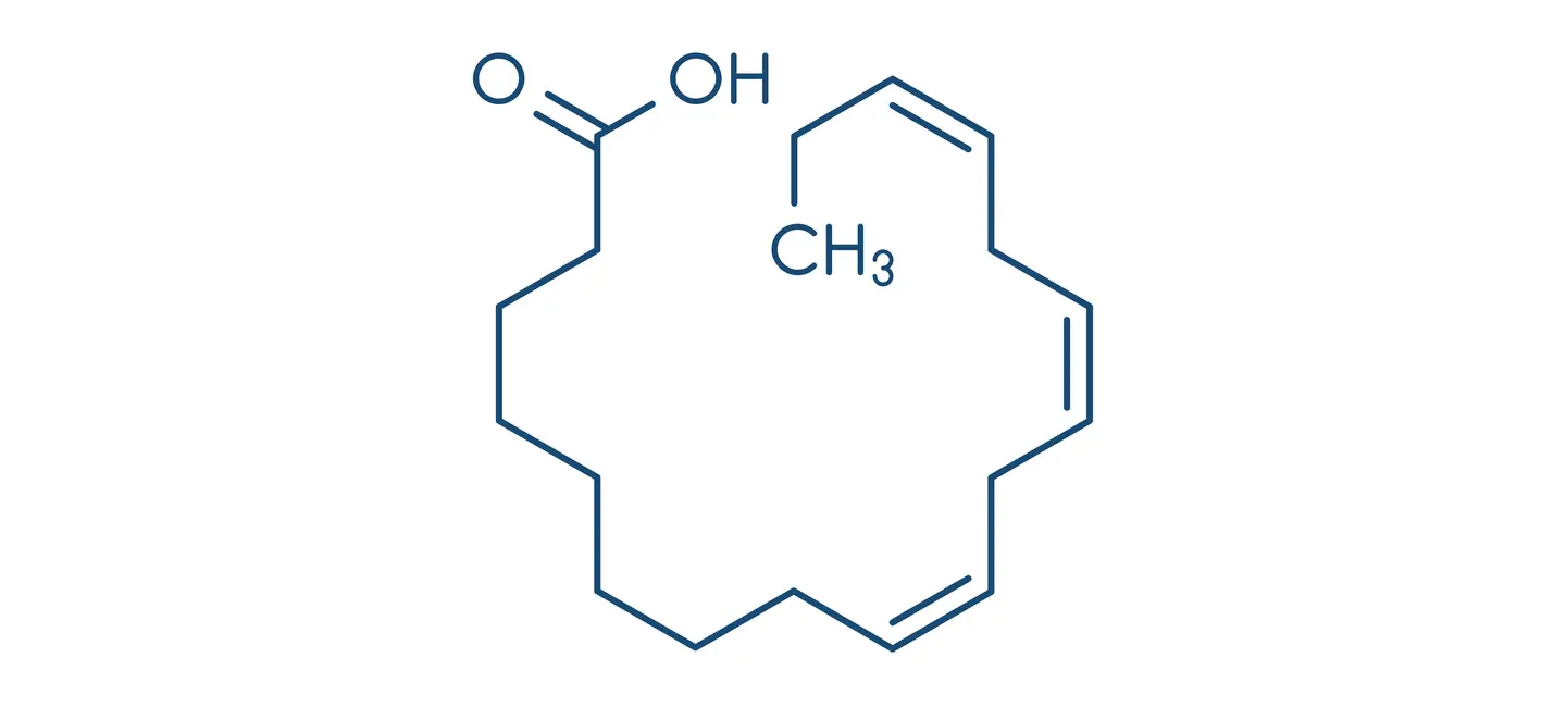 Alpha-Linolenic Acid Molecule