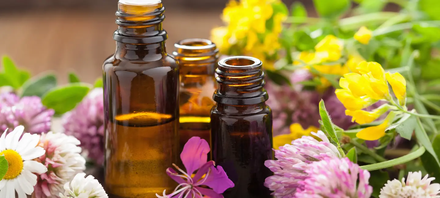 Aromatherapy oils and plant