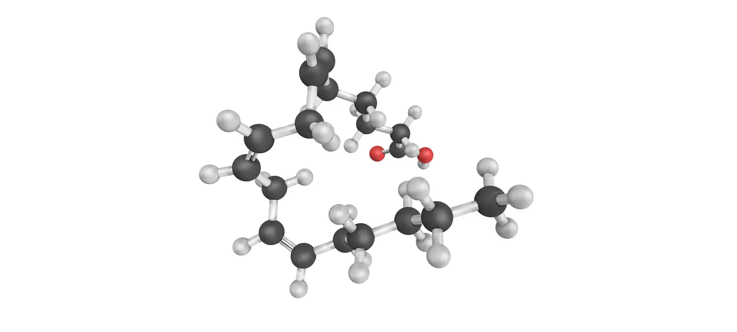 Gamma Linolenic Acid molecule