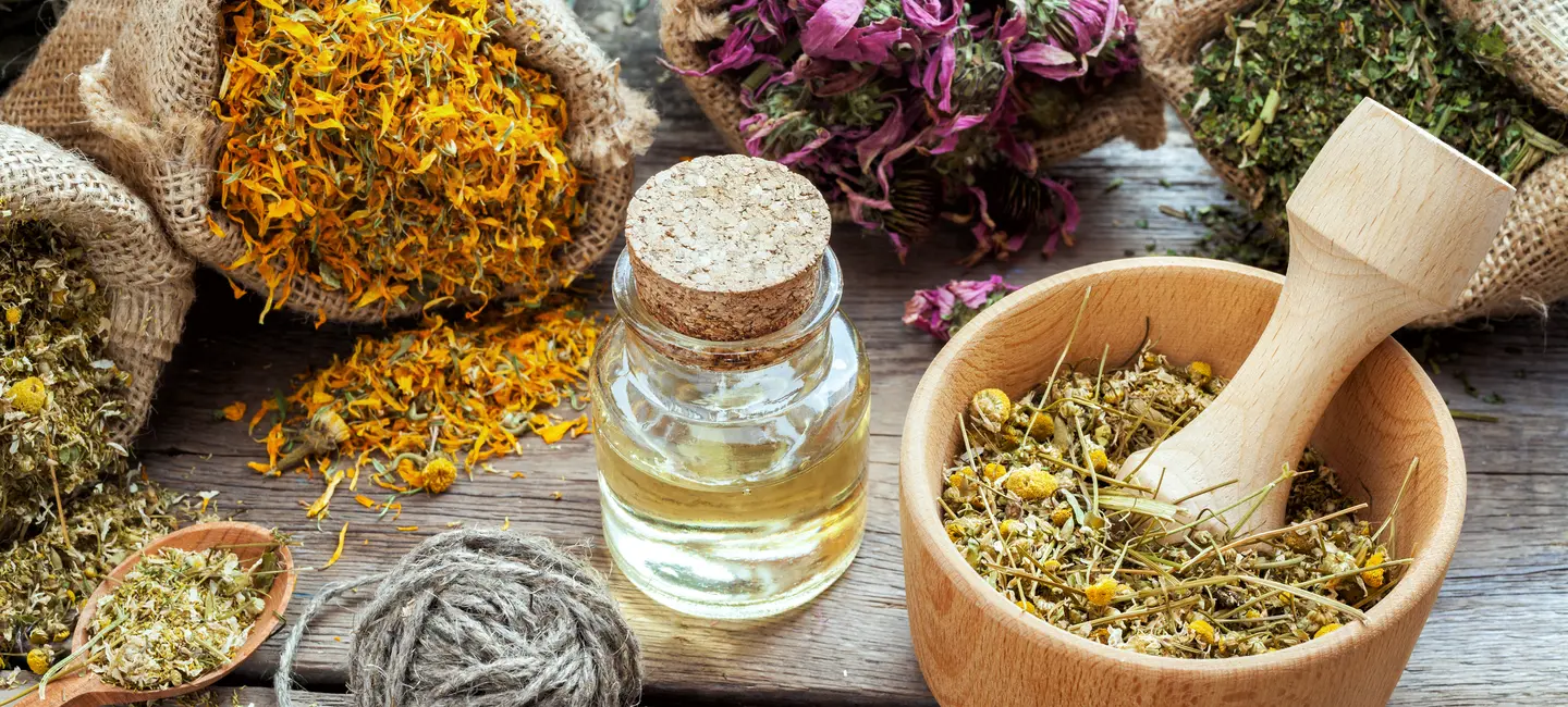 Healing herbs for Homeopathy remedies