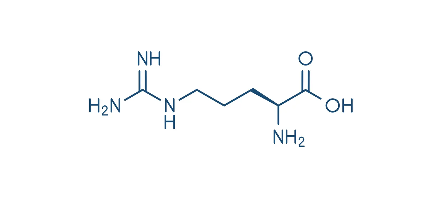 L-Arginine molecule