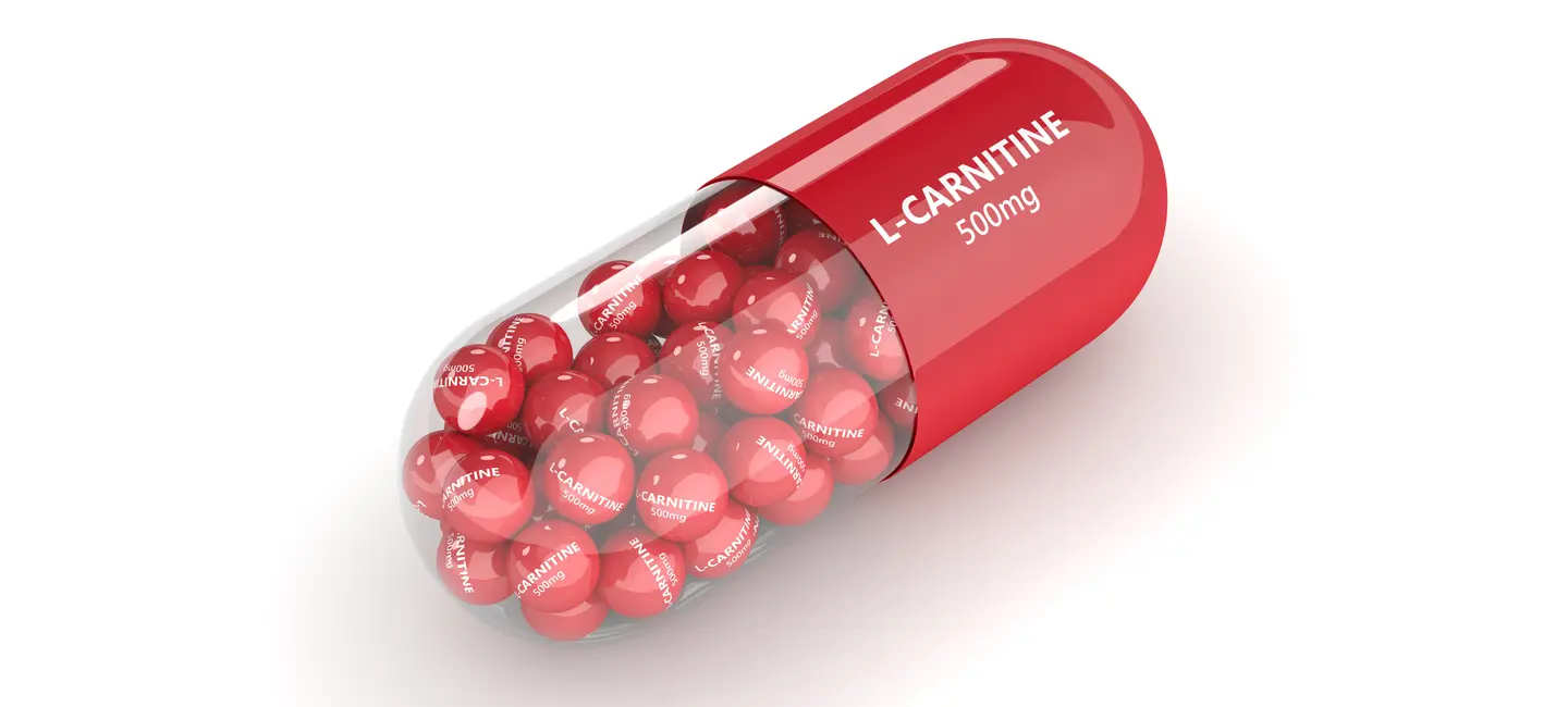 L-Carnitine pill