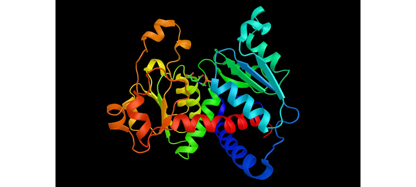 L-Ornithine-L-Aspartate Molecular structure
