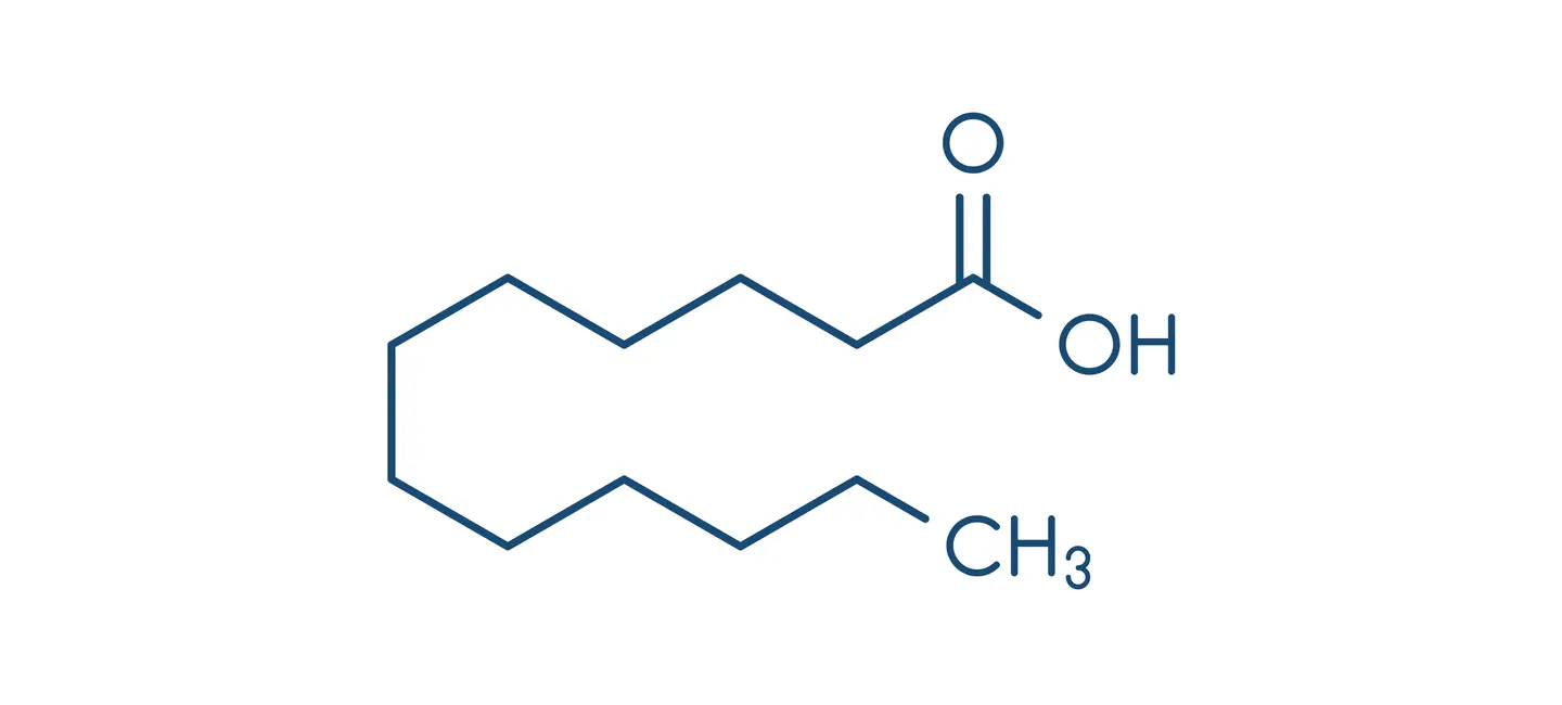 Lauric Acid molecule