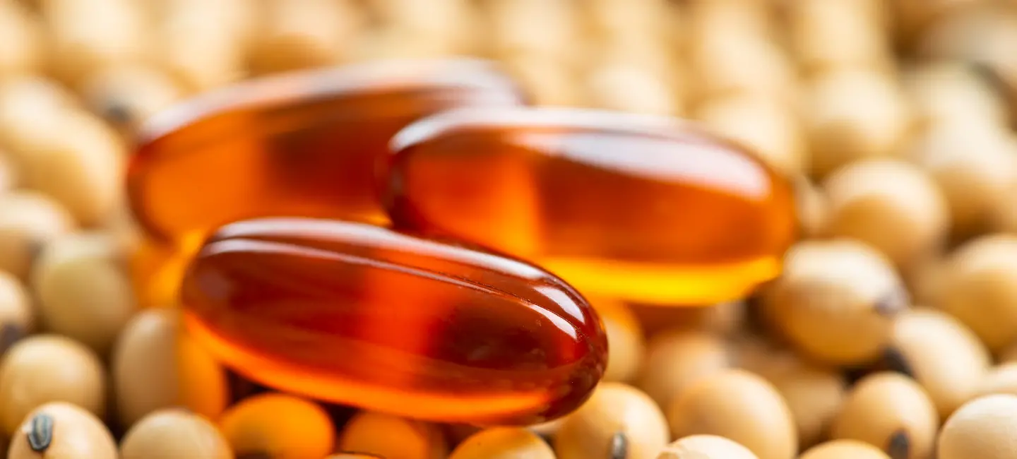 Lecithin pills on top of soy beans