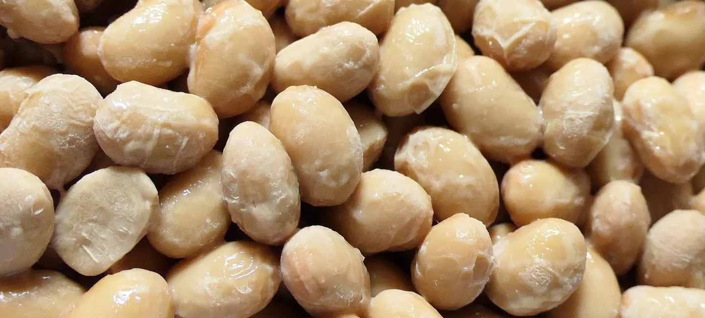 natto beans
