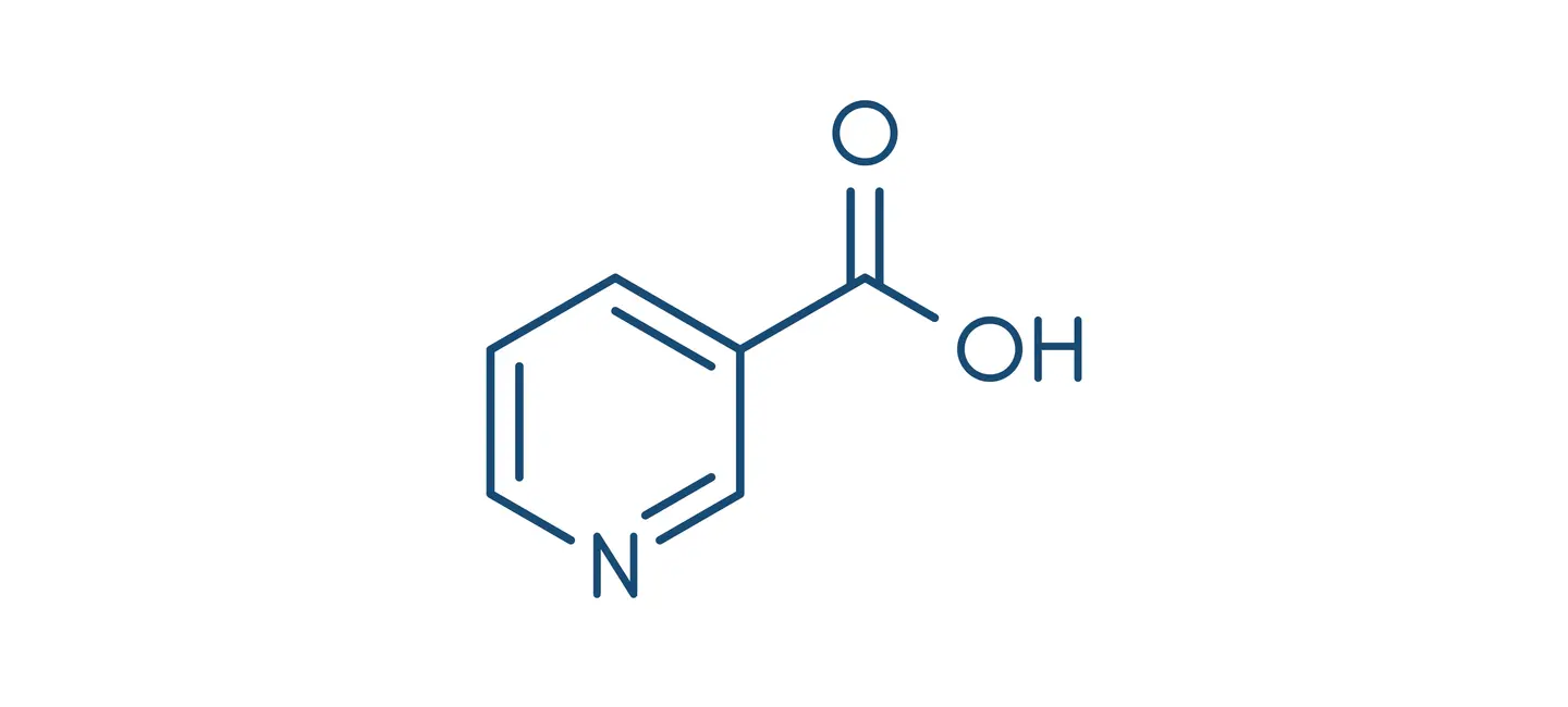 Niacin molecule