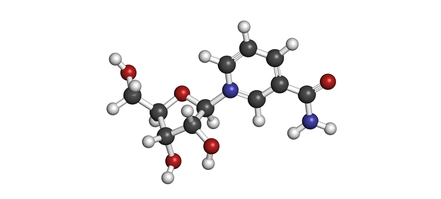 Nicotinamide Riboside molecule