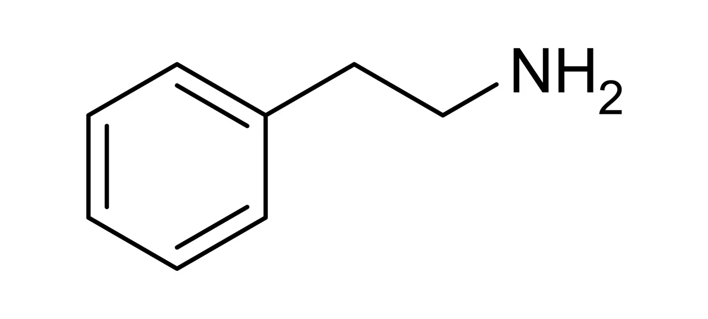 Phenethylamine molecule