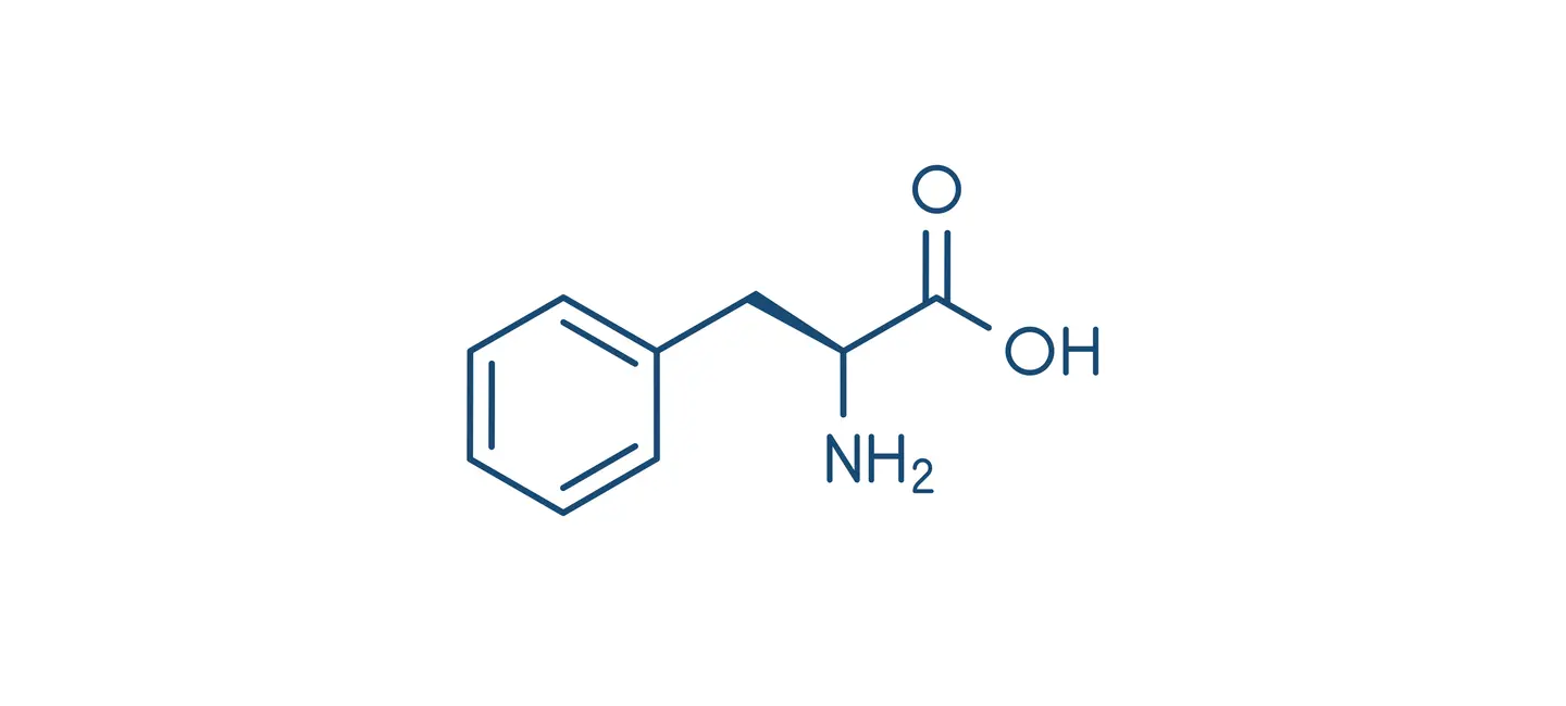 Phenylalanine molecule