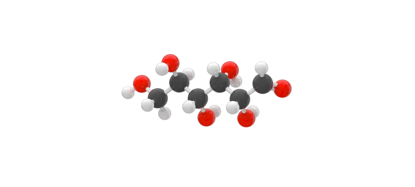 Polydextrose molecule