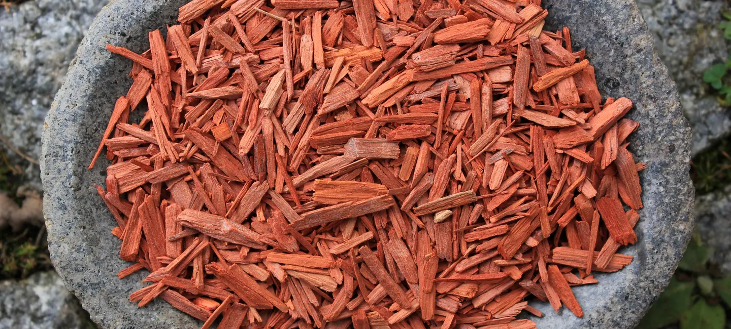 dried Red Sandalwood bark