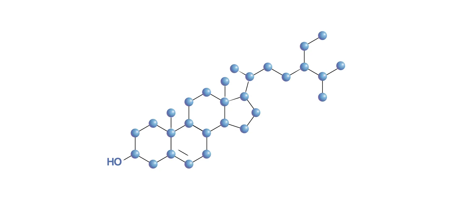 Sitostanol molecule