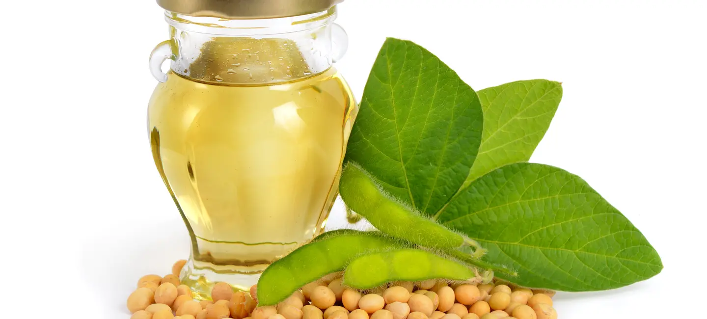 Soybean Oil in bottle and Soy beans