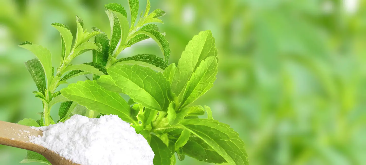 Stevia plant and powder