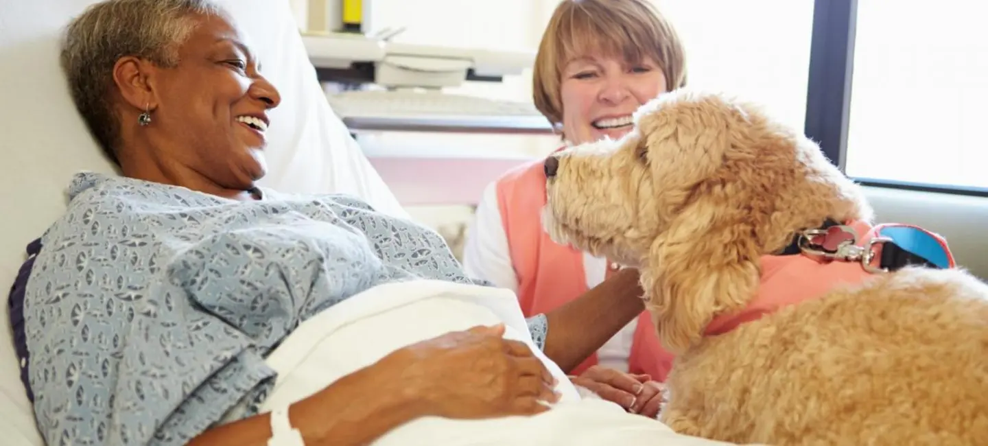Pet Therapy Dog Visiting Senior Female Patient In Hospital
