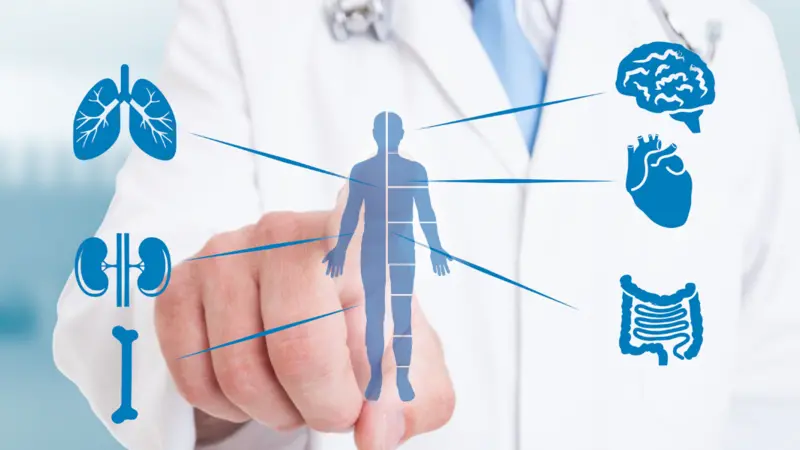doctor and icons over various body systems doctor and icons over various body systems