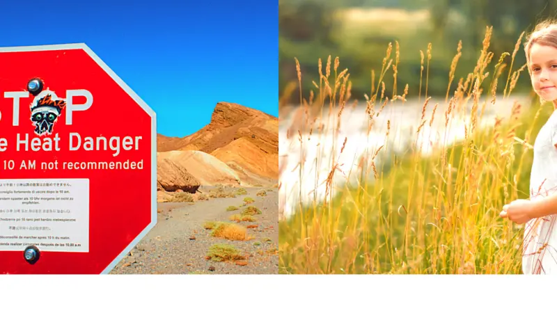 stop sign and girl in summer field stop sign and girl in summer field