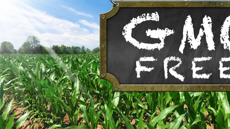 GMO Free sign in field GMO Free sign in field