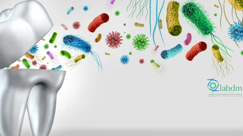 Tooth Germs Teeth Bacteria as a cavities and dental health care concept as an open molar tooth with disease and bacterial infection emerging out as a hygiene symbol of dentistry as a 3D illustration