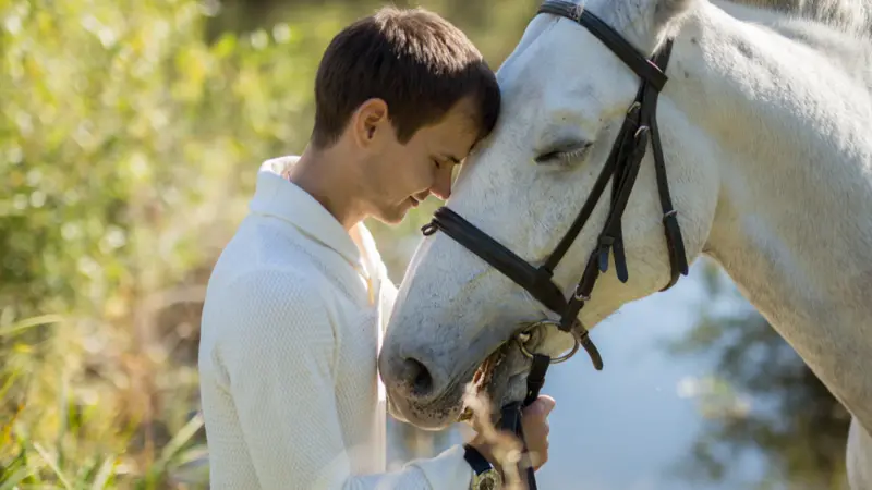 Man and horse heads together energy healing by the lake.