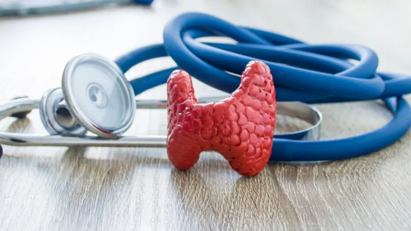 foreground is model of thyroid gland near stethoscope on table in background blurred silhouette doctor at table foreground is model of thyroid gland near stethoscope on table in background blurred silhouette doctor at table