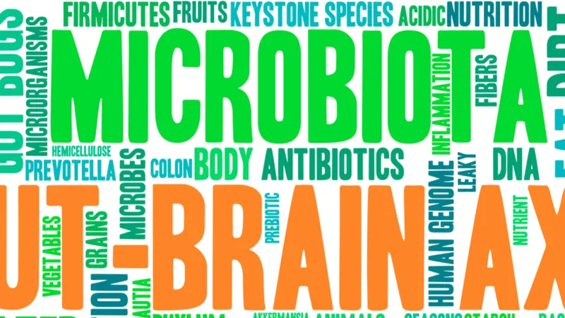 Gut-Brain Axis word cloud on a white background.