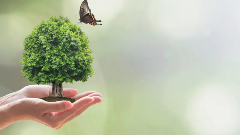 Saving green environment, harmony living in nature and ecosystem conservation campaign concept Saving green environment, harmony living in nature and ecosystem conservation campaign concept