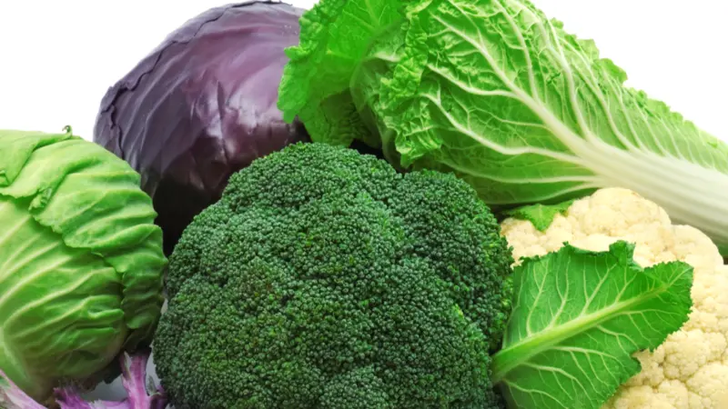 collection cabbages isolated on a white background