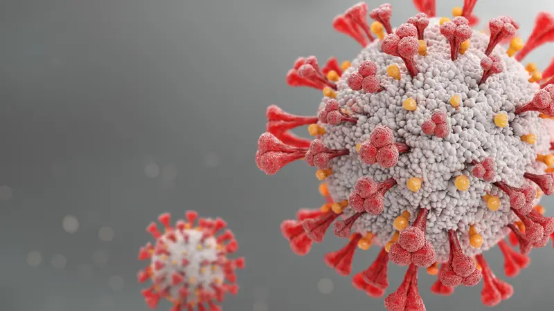 3D rendering Covid-19 virus 3D rendering Covid-19 virus