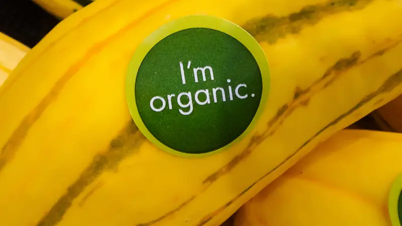 Organic labeled Delicata squash Organic labeled Delicata squash
