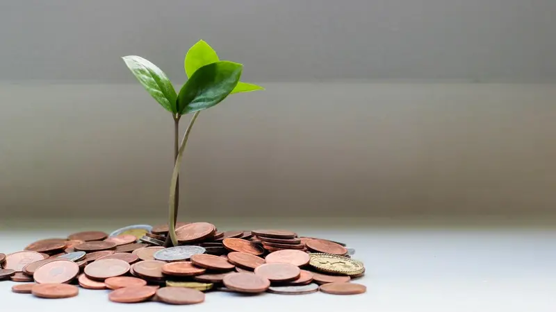 coins with a plant 'growing' out of them