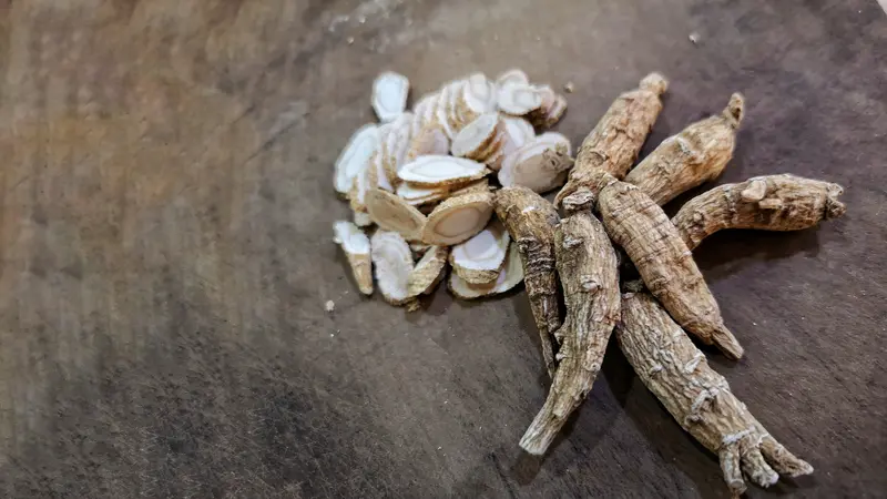 american ginseng. american ginseng.