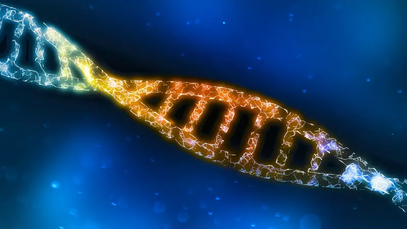 Dna helix, computer analysis and testing.