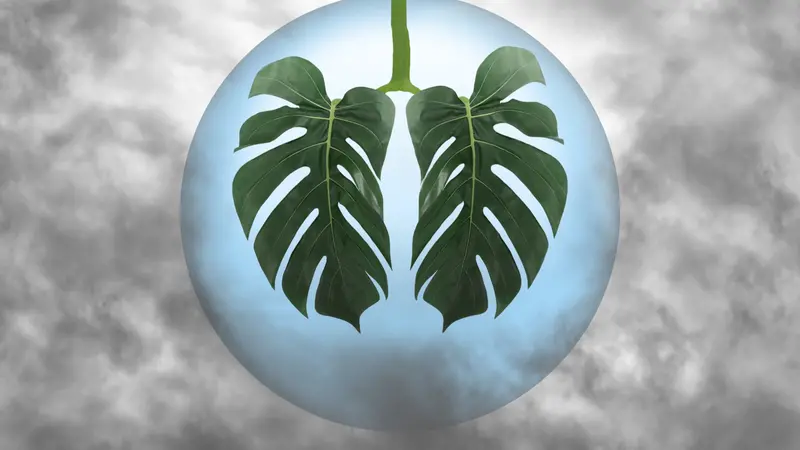 leaf as lungs shape in blue ball,surrounded by gray toxic smoke,CO2.
