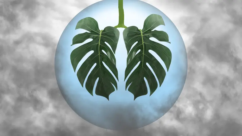 leaf as lungs shape in blue ball,surrounded by gray toxic smoke,CO2. leaf as lungs shape in blue ball,surrounded by gray toxic smoke,CO2.