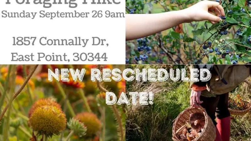 photos of wild edible plants, gathering in a basket and picking by hand