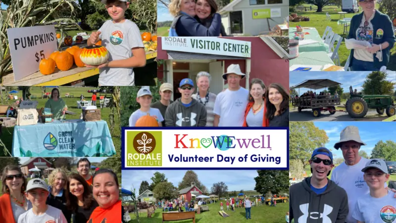 KnoWEwell Volunteer Day 2021