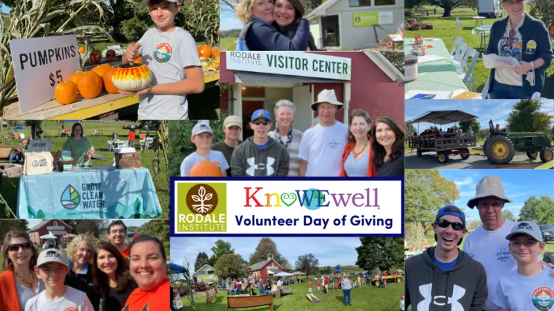 KnoWEwell Volunteer Day 2021 KnoWEwell Volunteer Day 2021