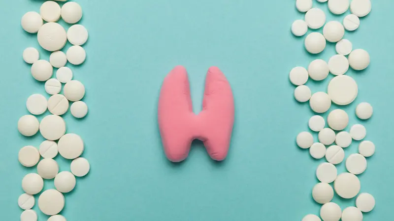 Treatment and prevention of the thyroid gland. Anatomical organ. Treatment and prevention of the thyroid gland. Anatomical organ.