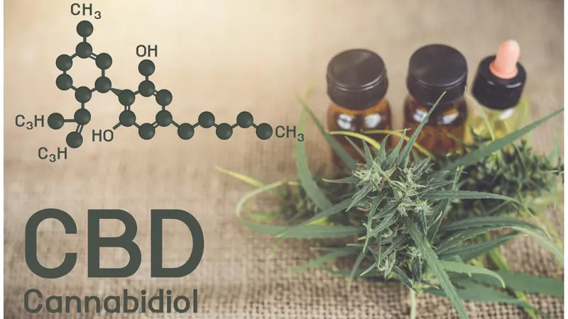 Cannabis oil, CBD oil cannabis extract Cannabis oil, CBD oil cannabis extract