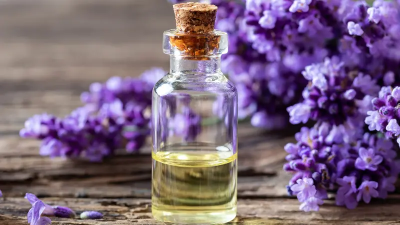 A bottle of essential oil with fresh blooming lavender twigs on a table