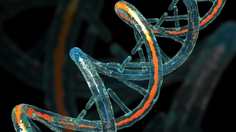 DNA Molecule on Black Background Concept 3D Illustration