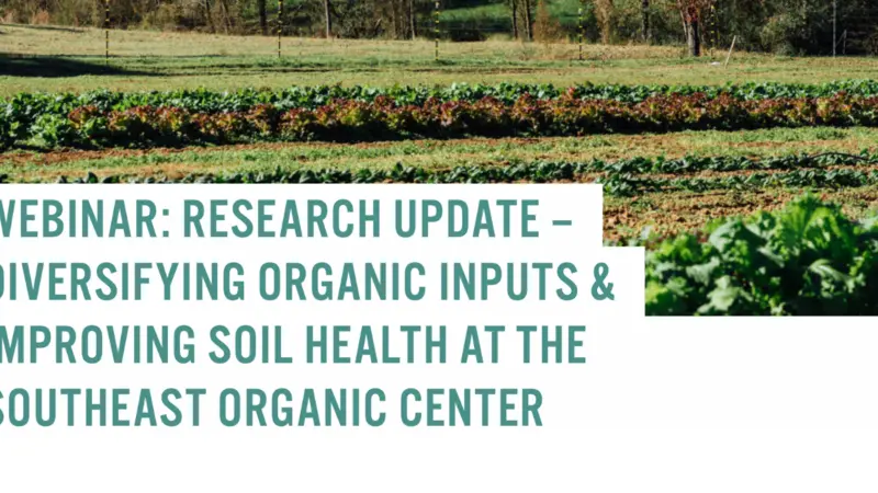 Research Update – Diversifying Organic Inputs & Improving Soil Health At The Southeast Organic Center Research Update – Diversifying Organic Inputs & Improving Soil Health At The Southeast Organic Center