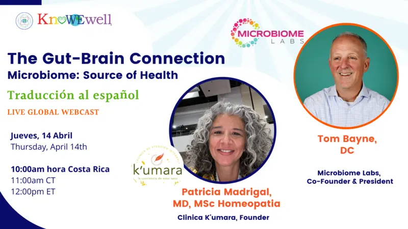 Gut Brain Connection webinar banner image